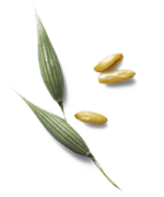 oats