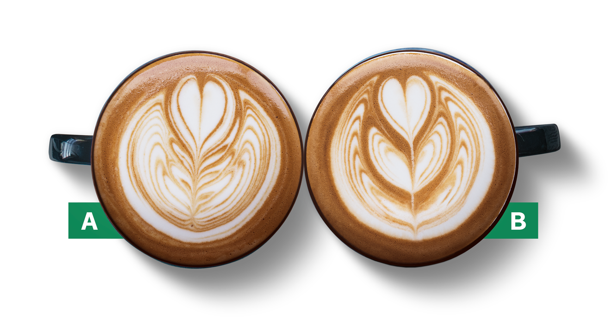 Latte Compare